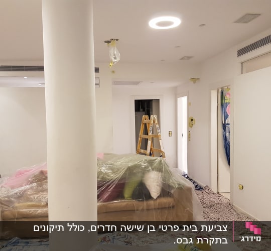 סולם, יריעות פלסטיק, דלי צבע, קירות לבנים